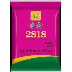 甘鑫2818號(hào)